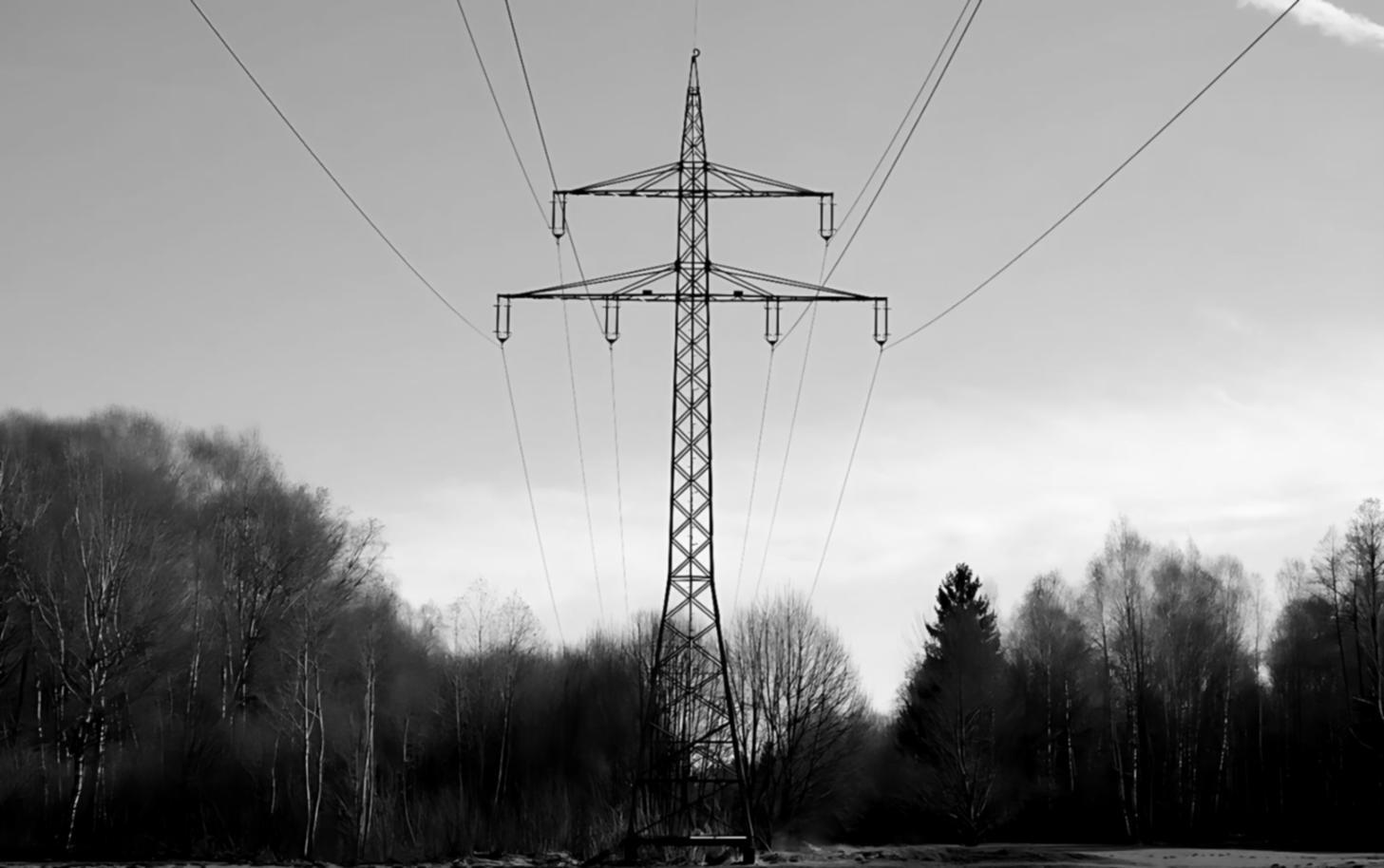 Calendrier de progression des modules d'apprentissage